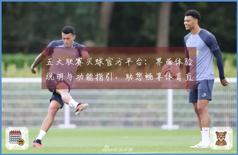 五大联赛买球官方平台：界面体验说明与功能指引，助您畅享体育直播