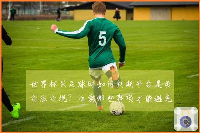 世界杯买足球时如何判断平台是否合法合规？注意哪些事项才能避免踩雷？