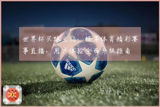 世界杯买球主站，畅享体育精彩赛事直播，用户体验全面升级指南