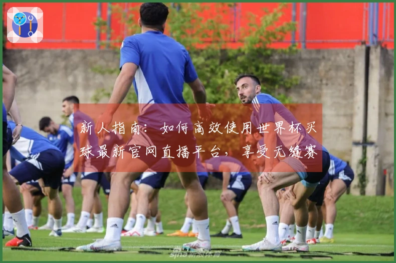 新人指南：如何高效使用世界杯买球最新官网直播平台，享受无缝赛事体验
