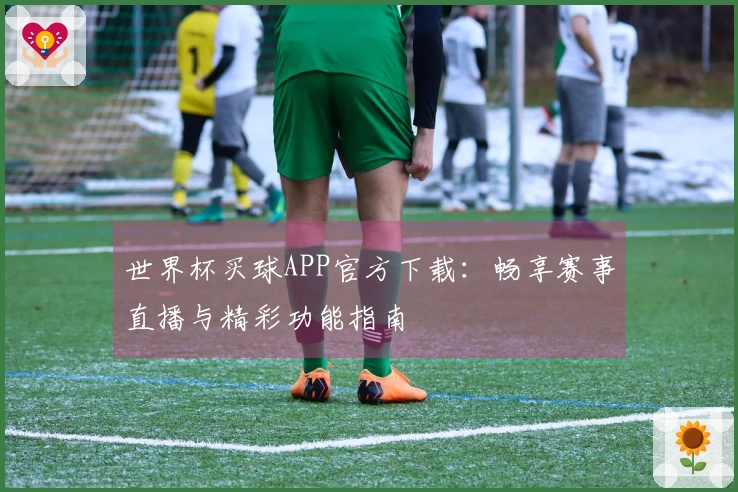 世界杯买球APP官方下载：畅享赛事直播与精彩功能指南