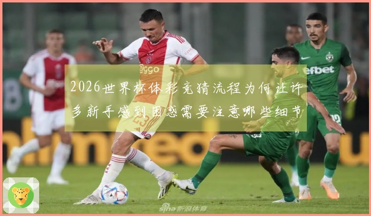 2026世界杯体彩竞猜流程为何让许多新手感到困惑需要注意哪些细节
