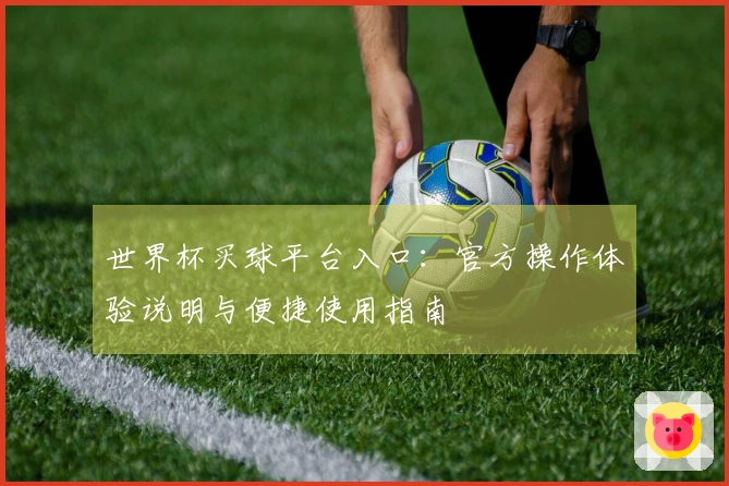 世界杯买球平台入口：官方操作体验说明与便捷使用指南