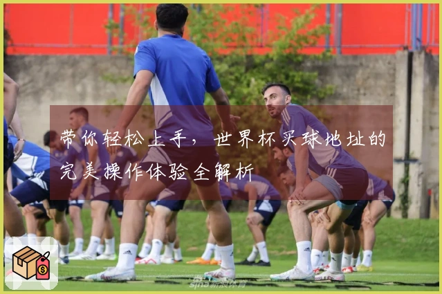 带你轻松上手，世界杯买球地址的完美操作体验全解析