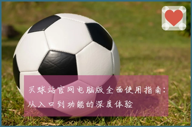 买球站官网电脑版全面使用指南：从入口到功能的深度体验