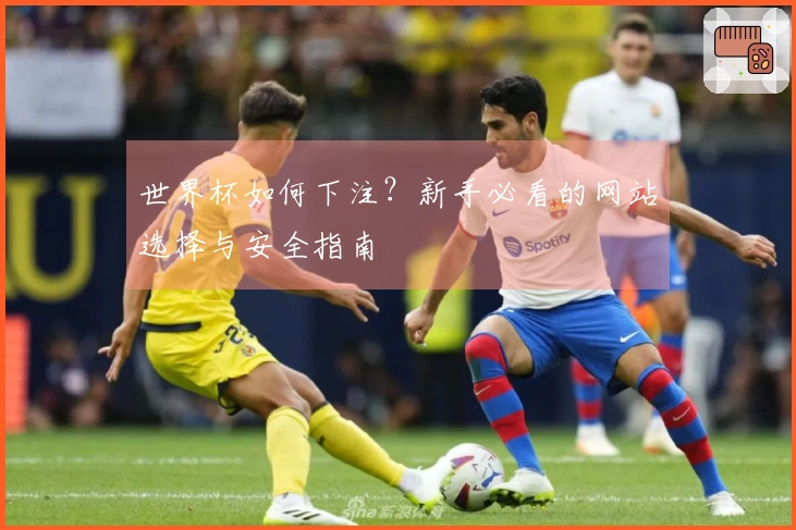 世界杯如何下注？新手必看的网站选择与安全指南