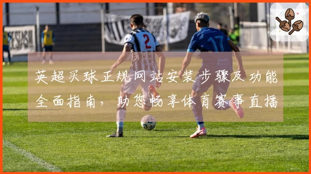 英超买球正规网站安装步骤及功能全面指南，助您畅享体育赛事直播体验