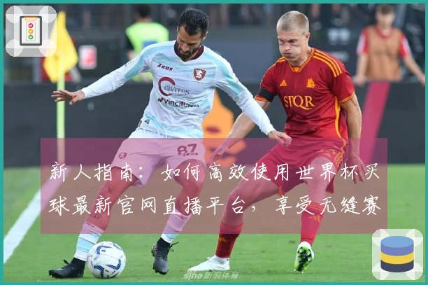 新人指南：如何高效使用世界杯买球最新官网直播平台，享受无缝赛事体验