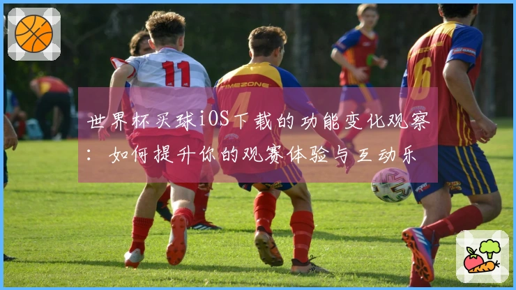 世界杯买球iOS下载的功能变化观察：如何提升你的观赛体验与互动乐趣